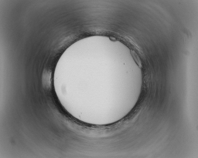 X0000112110024200909011155