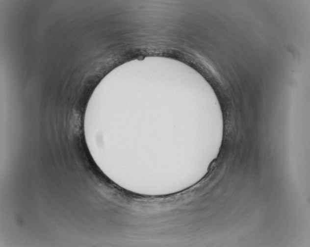 X0000112110025200909011155