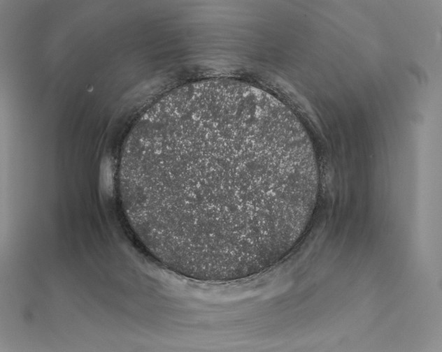 X0000112110026200909011155