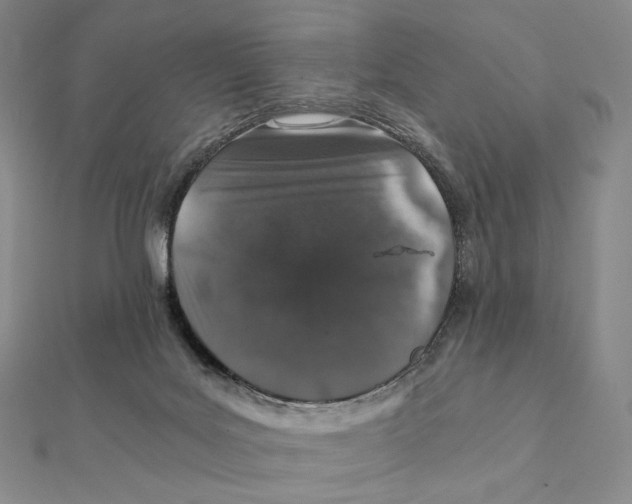 X0000112110027200909011155