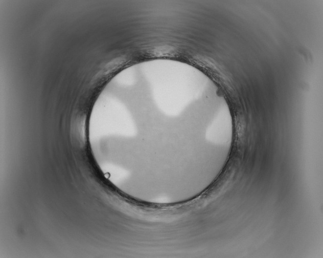 X0000112110028200909011155