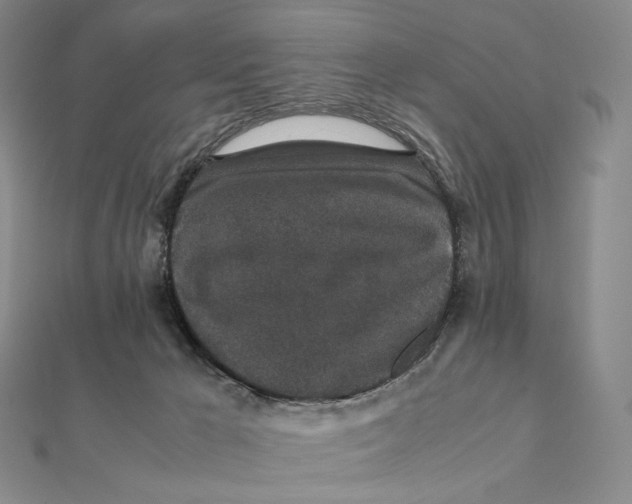 X0000112110029200909011155