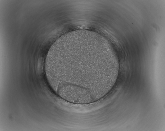 X0000112110030200909011155