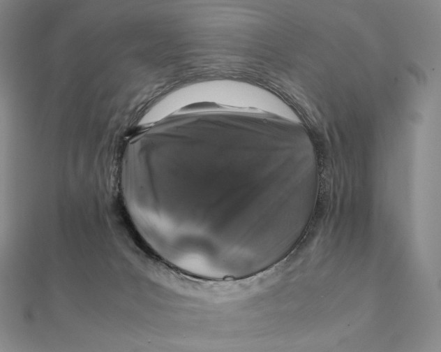X0000112110031200909011155