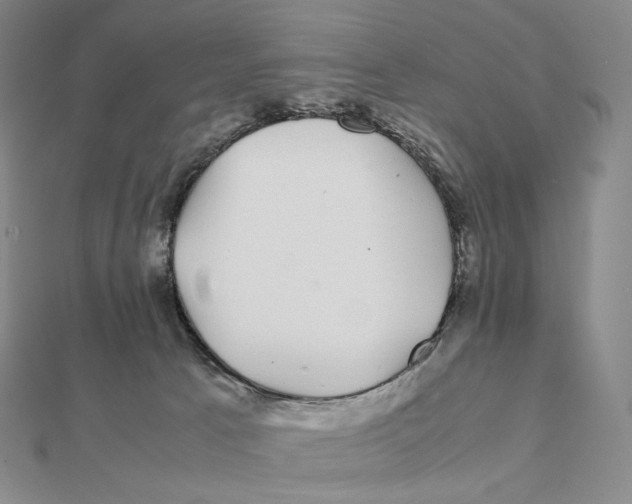 X0000112110033200909011155