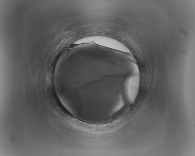 X0000112110035200909011155