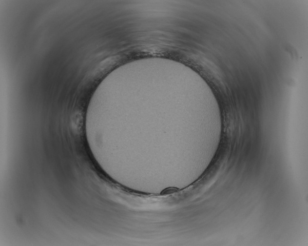 X0000112110036200909011154