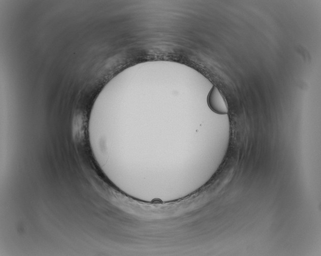 X0000112110038200909011154