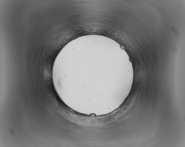 X0000112110040200909011154