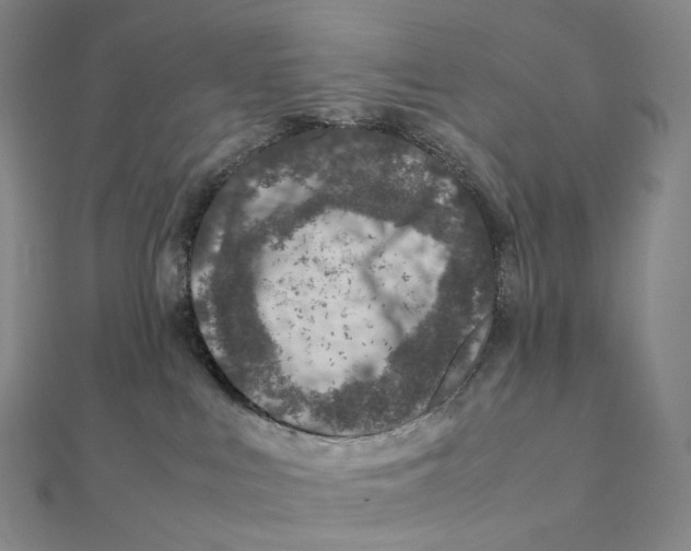 X0000112110043200909011154
