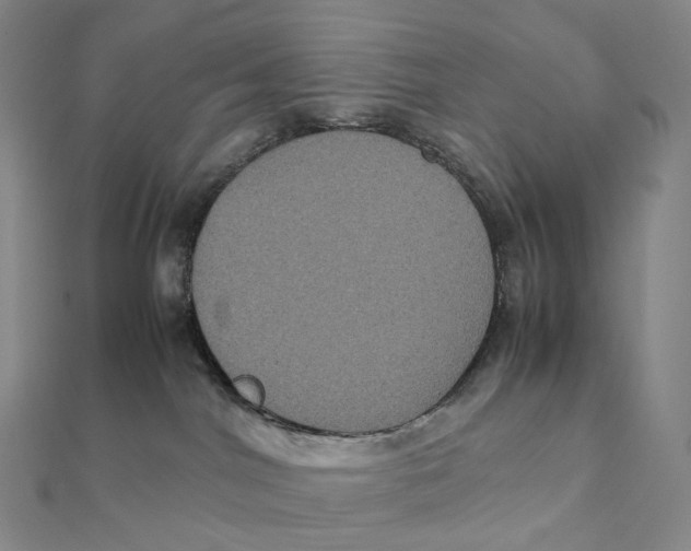 X0000112110044200909011154