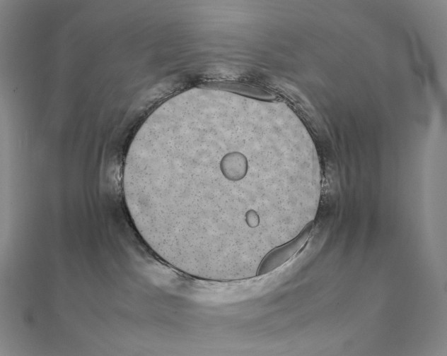 X0000112110045200909011154