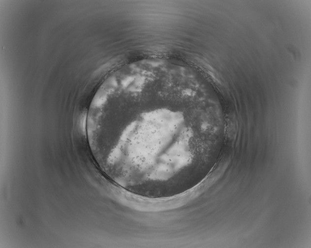 X0000112110047200909011154