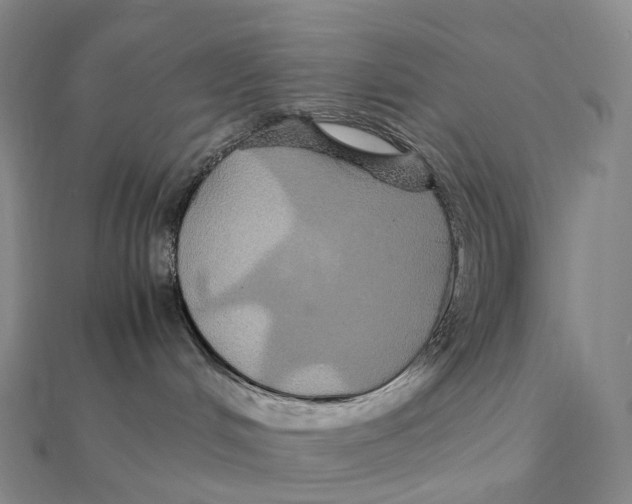 X0000112110048200909011154