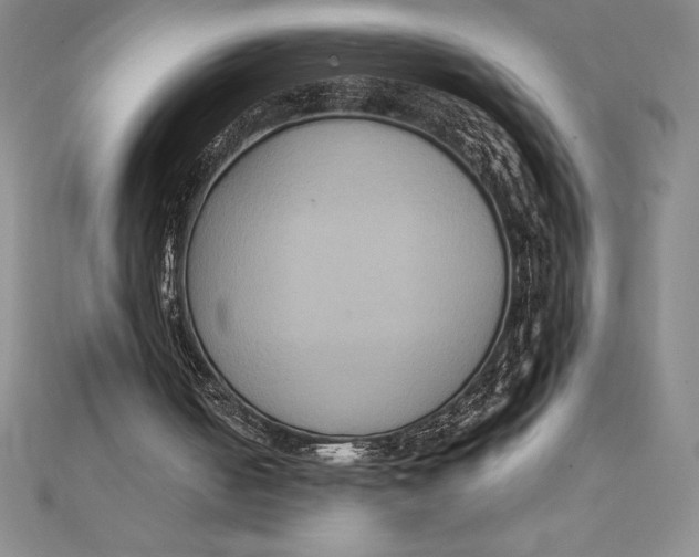 X0000112110050200909011154
