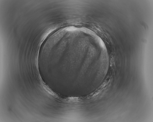 X0000112110052200909011154
