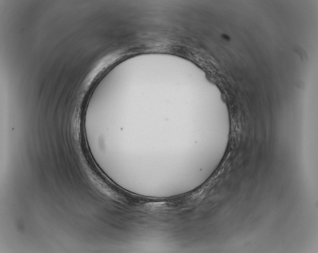 X0000112110054200909011154