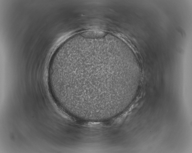 X0000112110055200909011154