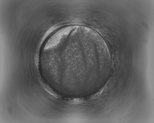 X0000112110056200909011154