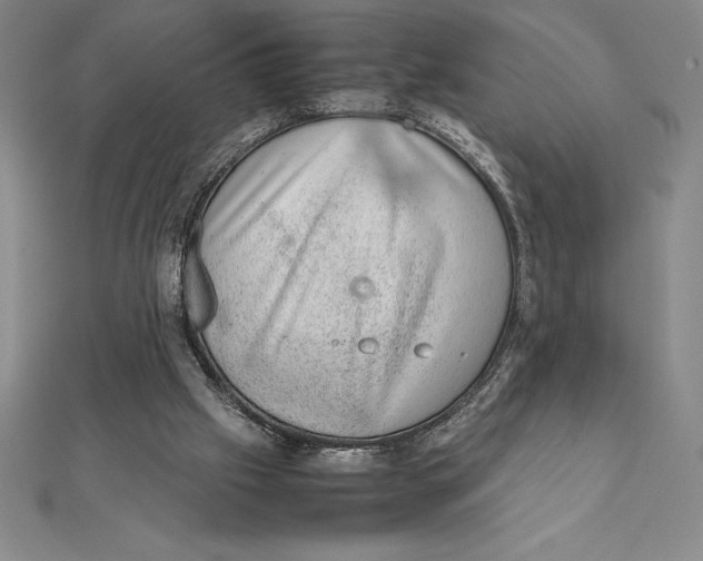 X0000112110057200909011154