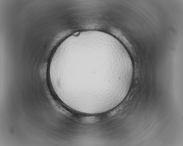 X0000112110058200909011154