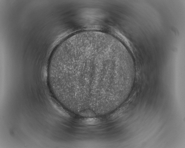 X0000112110059200909011154