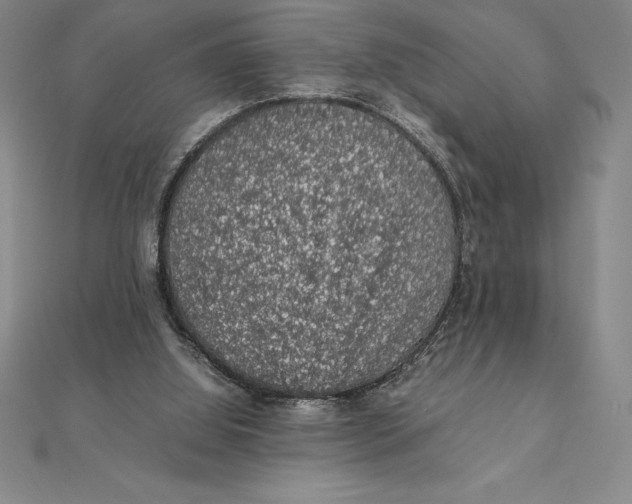 X0000112110060200909011154