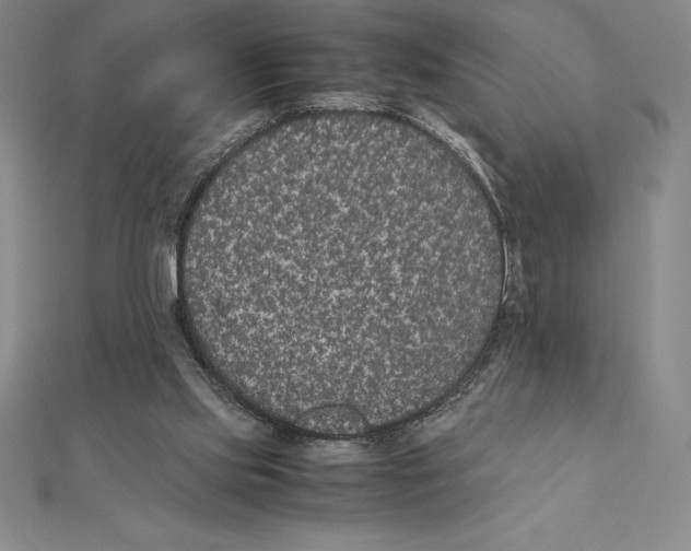 X0000112110061200909011154