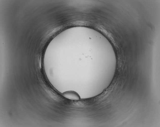 X0000112110062200909011154