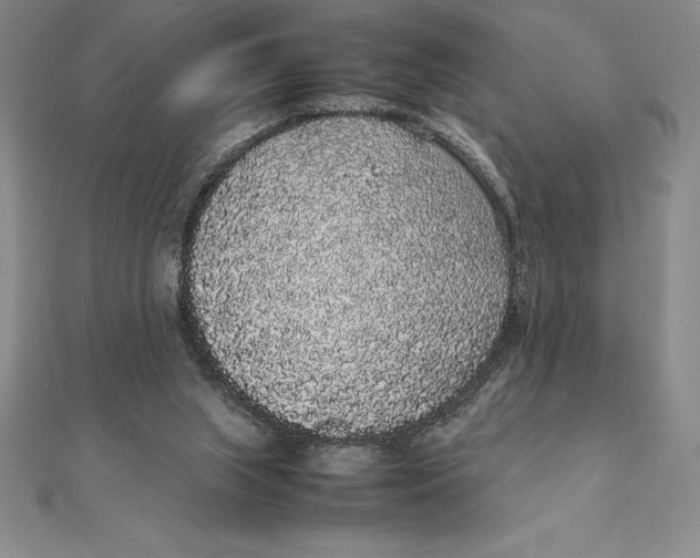 X0000112110063200909011154