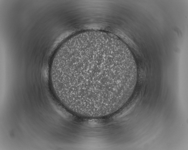X0000112110064200909011154