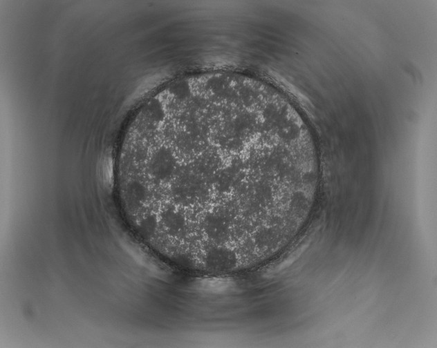 X0000112110067200909011154