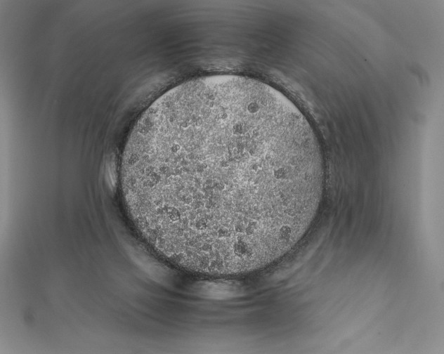 X0000112110069200909011154