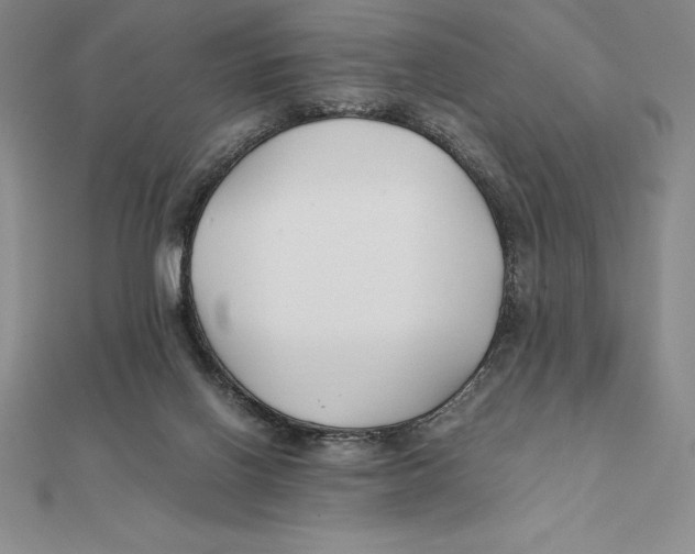 X0000112110070200909011154