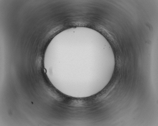 X0000112110071200909011154