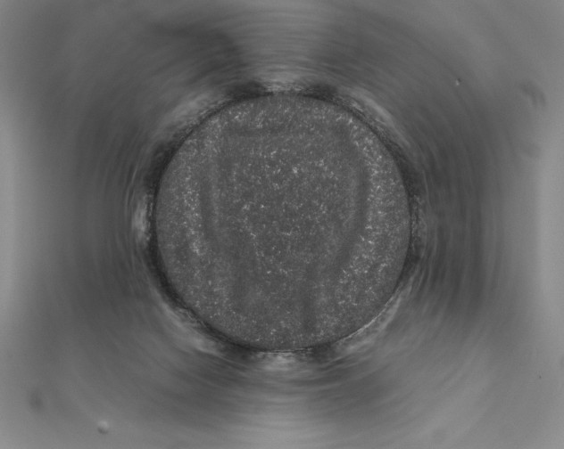 X0000112110074200909011154