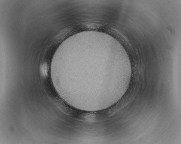 X0000112110075200909011154