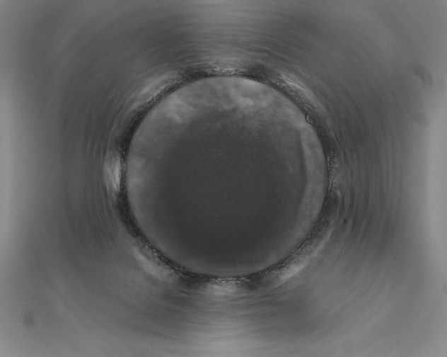 X0000112110076200909011154