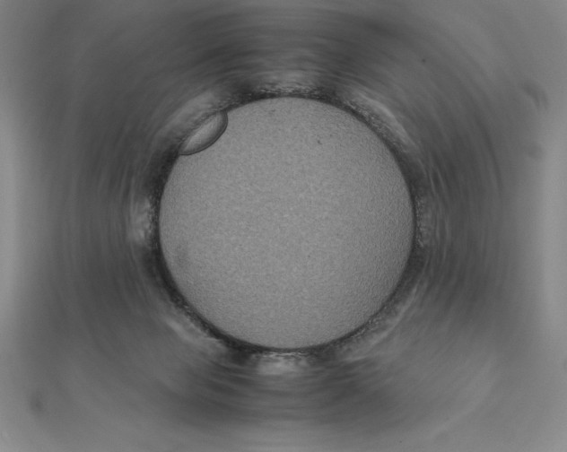 X0000112110077200909011154