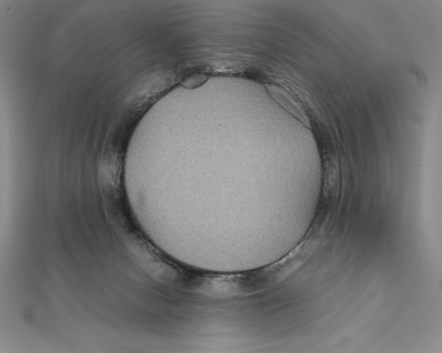 X0000112110078200909011154