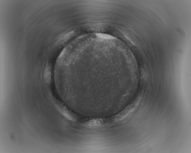 X0000112110080200909011154