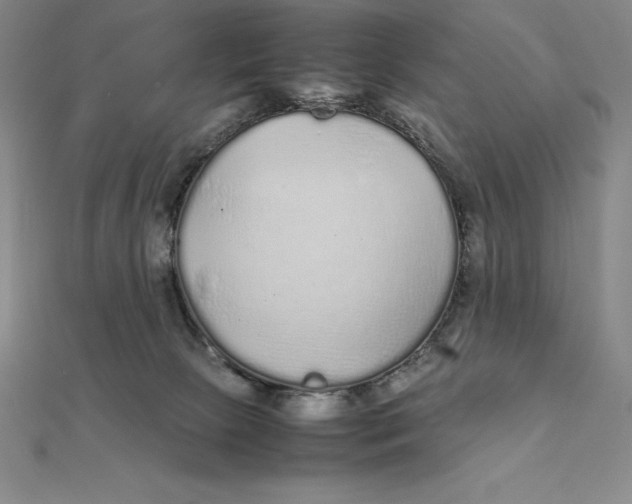 X0000112110081200909011154