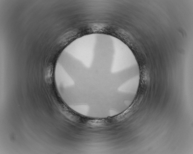 X0000112110082200909011154