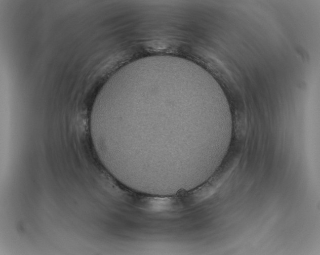 X0000112110085200909011154