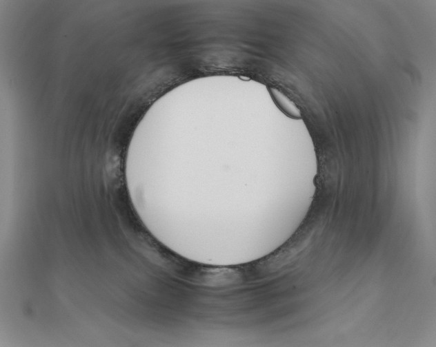 X0000112110087200909011154