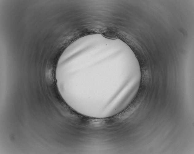 X0000112110088200909011154