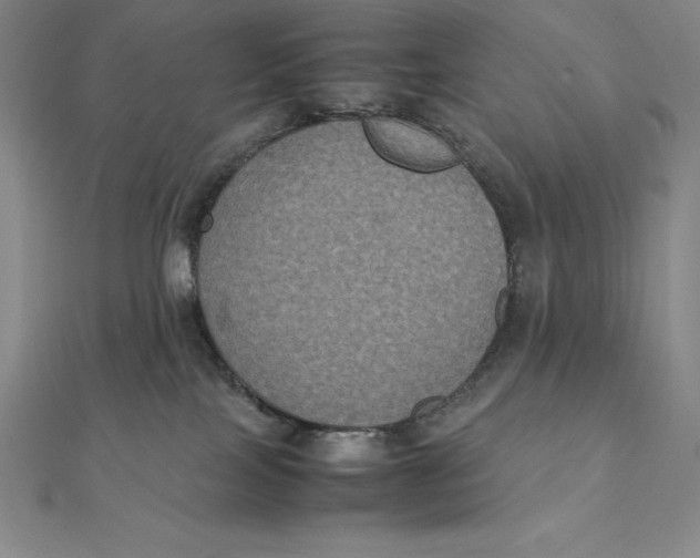 X0000112110089200909011154