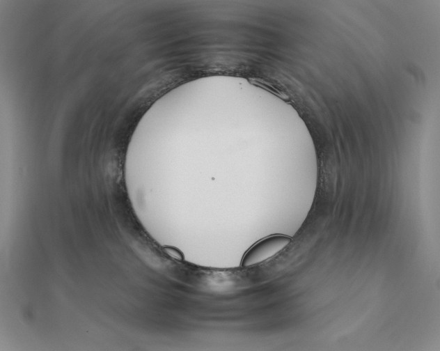 X0000112110091200909011154