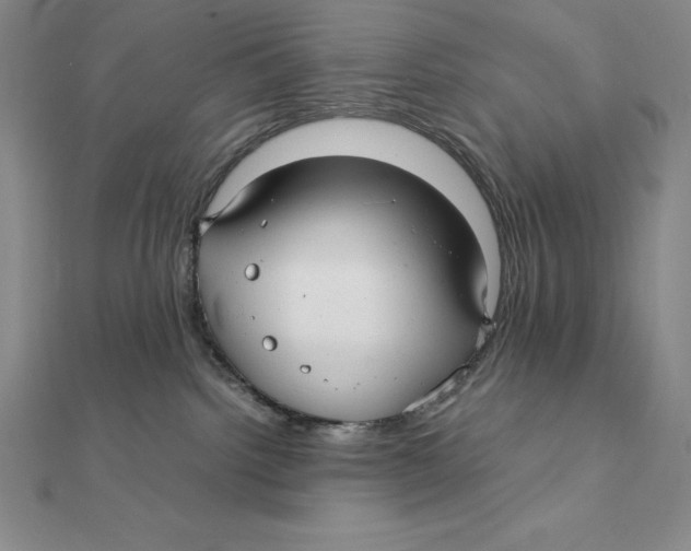X0000112110092200909011154