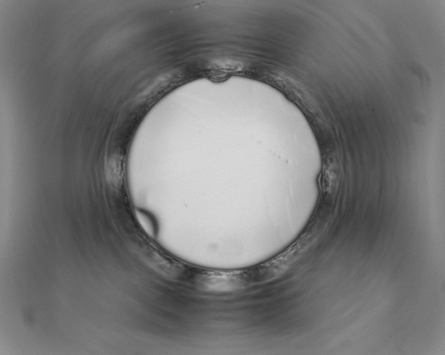 X0000112110093200909011154